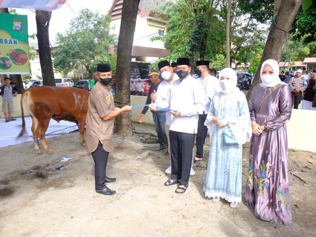 Polda Sulsel Bagikan 673 Sapi dan 22 Kambing Kurban ke Masyarakat