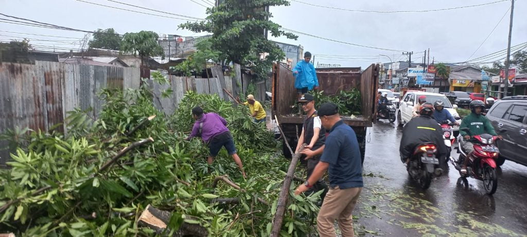 Pohon Tumbang Diterjang Angin Kencang, Camat Pallangga Terjun Langsung Ke Lokasi