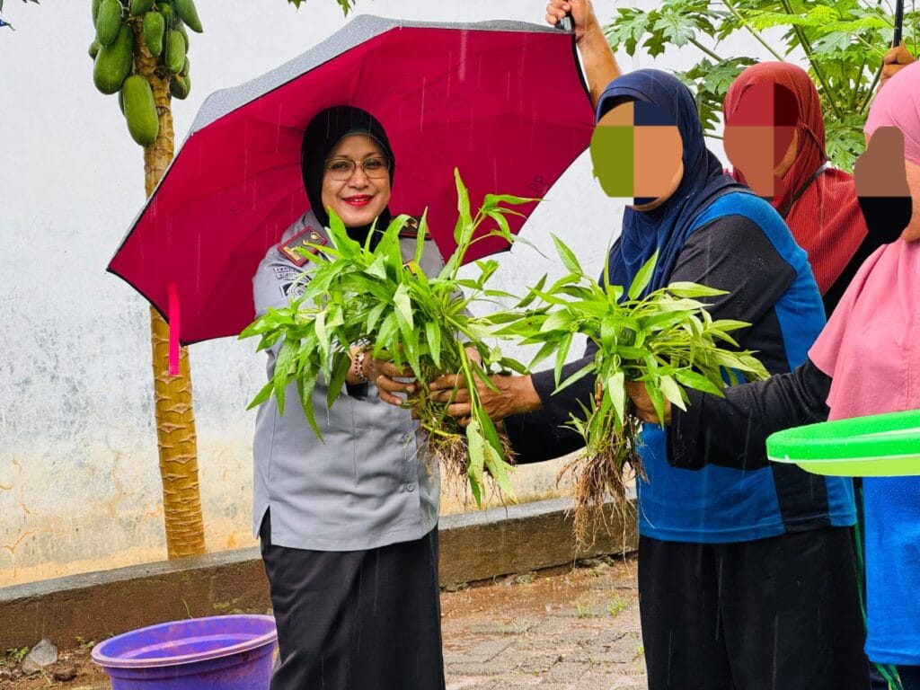 Dukung Program Ketahanan Pangan Nasional, LPP Sungguminasa Gelar Panen Kangkung