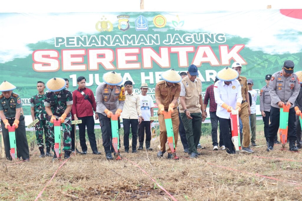 Kapolres Bone Dan Forkopimda Tanam Jagung Dukung Program Ketahanan Pangan