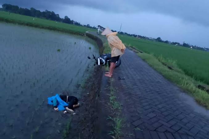 Ternyata, Pembunuh Putri yang Ditemukan Tergeletak di Sawah di Pallangga Gowa, Pacar Sendiri dengan 98 Luka Tusukan