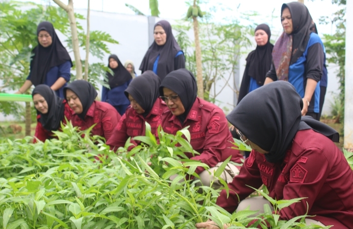LPP Sungguminasa Gelar Panen Kangkung, Kalapas : Kami Siap Sukseskan Program Akselerasi Menteri Imipas